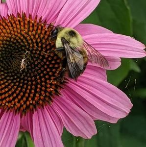 Meet your Posher, Eshetu